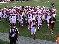 2013 Arizona Cardinals Season Wikipedia