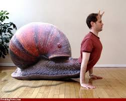 Snerson Funny Photoshop Snail Jojo Memes