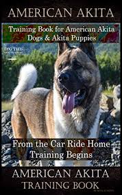 The american akita is descendent of the japanese akita. American Akita Training Book For American Akita Dogs Akita Puppies By D G This Dog Training From The Car Ride Home Training Begins American Akita Training Book Buy Online In Aruba At