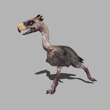 Check spelling or type a new query. Terror Bird Phorusrhacos 3d Model