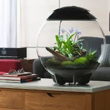 Biorb Air Terrarium Grey Terrarium Terrariums Kits Biorb