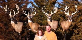 It ends in elk city, oklahoma. Steve S Taxidermy Elk City Ok Posts Facebook