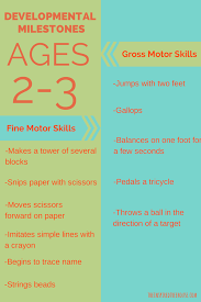 2 and 3 year old milestones toddler development kids