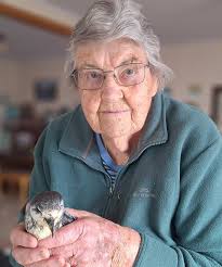 Influenza A: Hawke's Bay whānau's plea to not take illness lightly after  27-year-old man dies at home