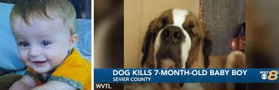 2021 Fatal Dog Attack Breed Identification Photographs