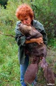 Check spelling or type a new query. Dunyadaki En Buyuk Kunduz Agirliktir Avci Takvimi