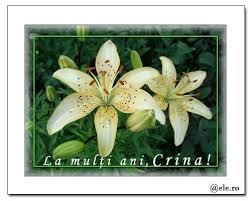La mulţi ani, dragă surioară! La Multi Ani Crina Florii Felicitari Ele Ro