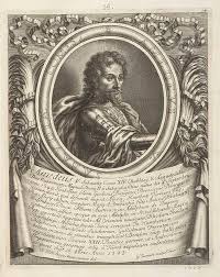 Image result for Crassocephalum ducis-aprutii