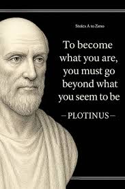 George Stapleton (@george_stapleton_) • Instagram photos and videos