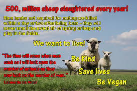 500 Million Sheep Are Slaughtered Every Year Be Kind Be Vegan Quotations Slogan Going Vegan