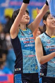 pin on volleyball