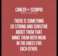 Cancer and scorpio usually understand each other without words. Gcohlg8gnkk8qm