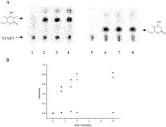 Mechanistic Analysis of Acyl Transferase Domain Exchange in ...