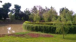 Untuk wisatawan yang berkunjung dengan kendaraan air, selain membayar tiket masuk juga akan dikenakan restribusi kendaraan air. Taman Cattleya Jakarta 2021 All You Need To Know Before You Go Tours Tickets With Photos Tripadvisor