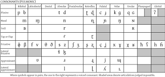 55 Clean Ipa Phonetic Chart
