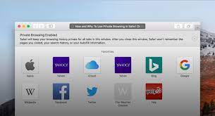So safari's private browsing mode lets you browse the web without leaving any local footprints and without needing to remember to clear your history and cache. Private Browsing In Safari All You Need To Know
