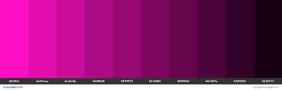 See color combinations by clicking on a link beside: Shades Of Shocking Pink Color Fc0fc0 Hex Hex Rgb Codes