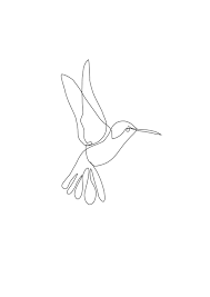 Bird In Flight Line Drawing Hummingbird Bird Line Art Minimalist Original Drawing Art Work Etsy In 2020 Line Art Tattoos Line Art Line Art Design