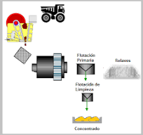 Planta De Flotacion Para Mineral Monometalico: Cobre ...