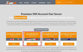 Cara membuat akun shadowsocks premium. 14 Cara Membuat Akun Ssh Premium Gratis Full Speed Paling Mudah Pro Co Id