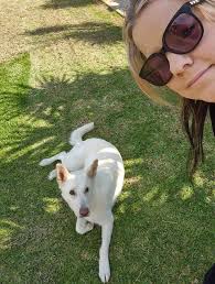 A Guardian Dogs First Ever Groom