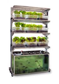 Broder Farm For A Meal A Day Ikea Hackers Aquaponics System Aquaponics Backyard Aquaponics
