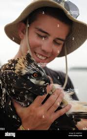 Muffley hi-res stock photography and images