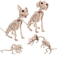 Halloween Decoration Props Animals Skeleton Mouse Dog Cat Skull Bone Ornaments Hallowmas Horror Haunted House Party Decoration Halloween Skeleton Decorations Halloween Skeletons Animal Skeletons