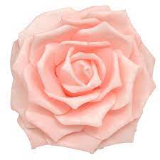 Maybe you would like to learn more about one of these? Light Pink Foam Flowers Rental Step And Repeat La