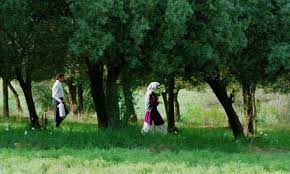 Hossein'in okula giden tahere ile evlenmek istemesi ve tahare'nin hossein'e karşılık vermemesini. Through The Olive Trees 1994 Imdb