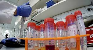 Aşıyı geliştiren firma ve firmanın kurucularına dair birçok şey yazılıp çizildi. Turk Bilim Insaninin Sirketi Biontech Koronavirus Asisi Icin Cinli Ilac Devi Ile Anlasti Sputnik Turkiye