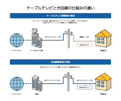ネット 回線 テレビ 地上 波