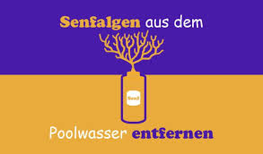 Gelbe Algen Im Pool So Entfernt Man Senfalgen Aus Dem Poolwasser Die Gelben Senfalgen Sind Eine Sehr Hartnackige Algenart E Algen Im Pool Algen Pool Wasser