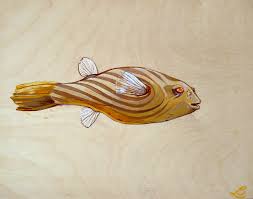 Art Illustration Lakes Freshwater Fish Fahaka Puffer Tetraodon Lineatus It Comes From The Lakes And Ri Illustration Art Illustration Freshwater Fish