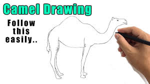 Let's learn how to draw a camel. How To Draw A Camel Step By Step Easy For Beginners Kids Simple Camels Drawing Tutorial Youtube