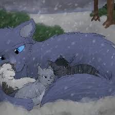 Elders share their knowledge with the clan and are cared for by the apprentices. 58 Leafpool Ideas Warrior Cats Warrior Cat Warrior