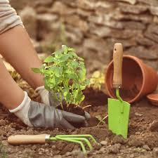 Et le potager n'est pas terminé, des semis. Jardiner En Septembre 2020 Que Faire Au Jardin Et Au Potager