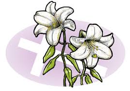 We did not find results for: Parish Logo St Anthony Shrine And Our Lady Of Mount Carmel Parishes