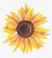 Free Free Sunflower Svg Background SVG PNG EPS DXF File