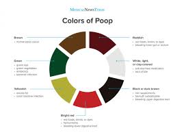 Why Is My Poop Green Stool Colors Explained