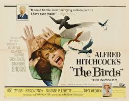 Image result for the birds hitchcock