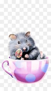 It is a very clean transparent background image and its resolution is 2048x1890 , please mark the image source when quoting it. Hamster Png Free Download Hamster