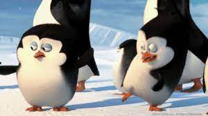 By the same people who bringing you the spongebob squarepants movie rehydrated! Pin Von Comia Auf Gif Zhivka Pinguine Von Madagaskar Dreamworks Animation Gif Bilder Lustig