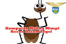 Kumpulan Makna Mimpi Kecoa Dalam Togel Gratis