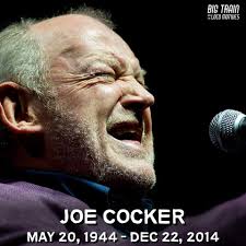 Cocker's space captain live performance