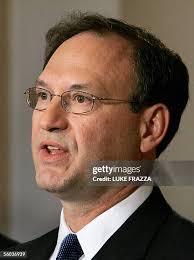 501 Sandra Within Photos & High Res Pictures