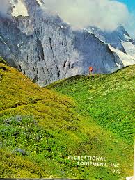 Image result for Eye Rest Green 1972 Hussmann