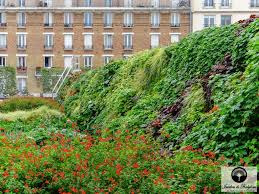 Toiture Vegetalisee Mairie De Montrouge Toiture Vegetalisee Jardins Verticaux Jardins De Babylone