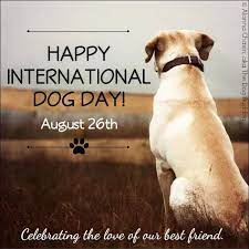 August 26 was the day when she adopted her first family dog. Pin By Tracey Williams On Healthy Dogs Cats And Other Pets International Dog Day Happy National Dog Day Dog Walking Quotes