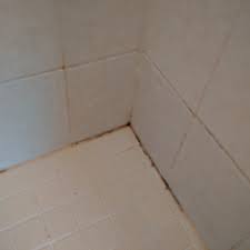 Check spelling or type a new query. I Found Mold In The Shower Caulking What Should I Do Cleanfirst Restoration